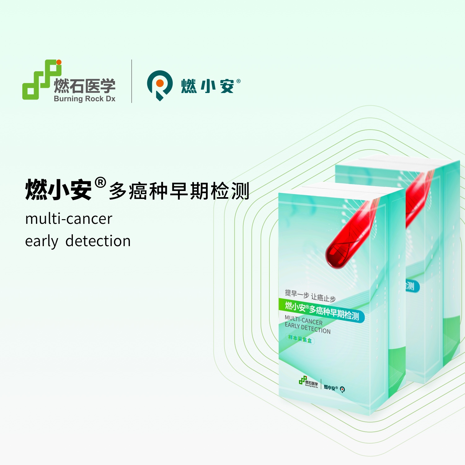 燃小安®-六癌种早期检测产品- 早筛网