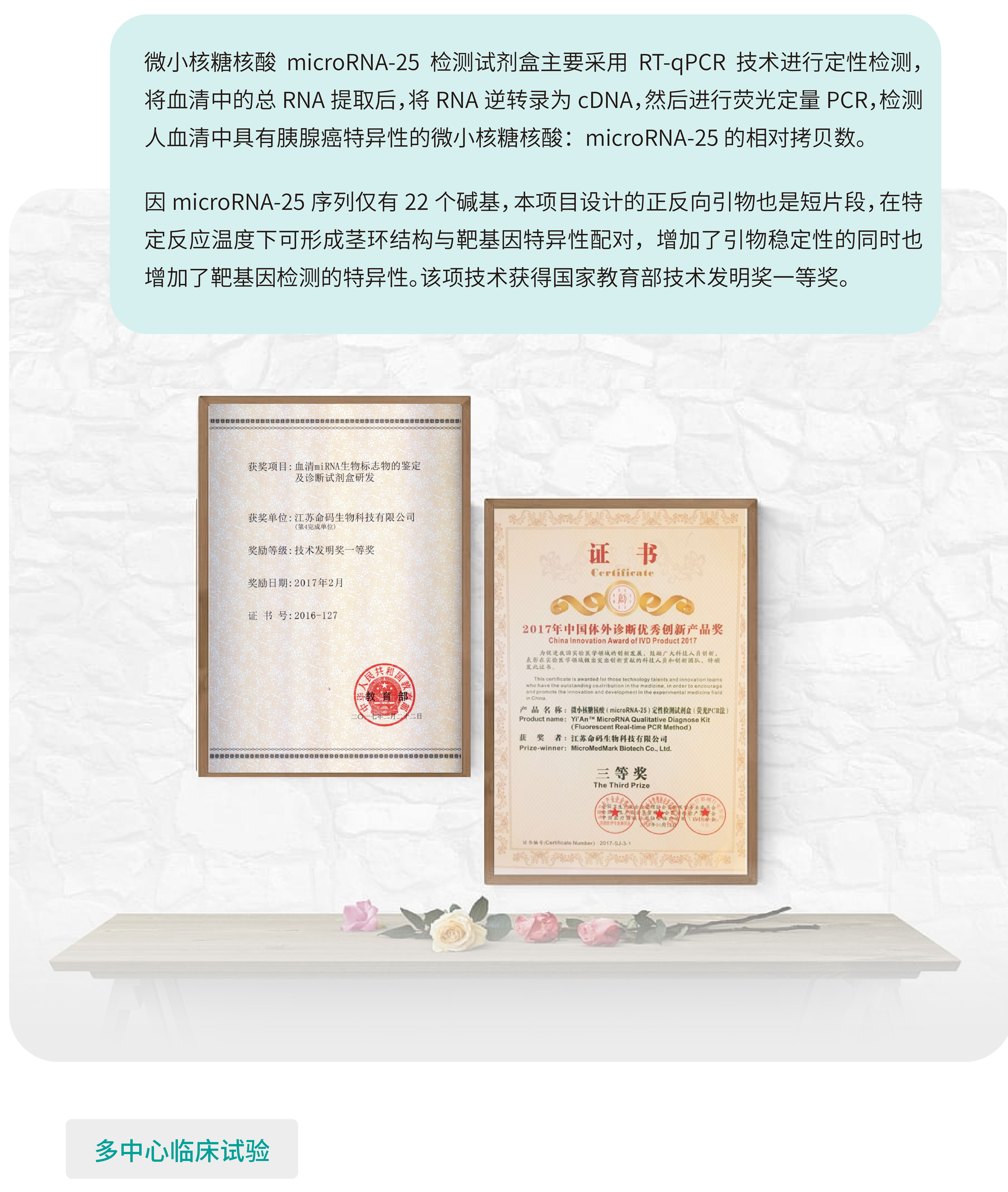 网页版4.jpg