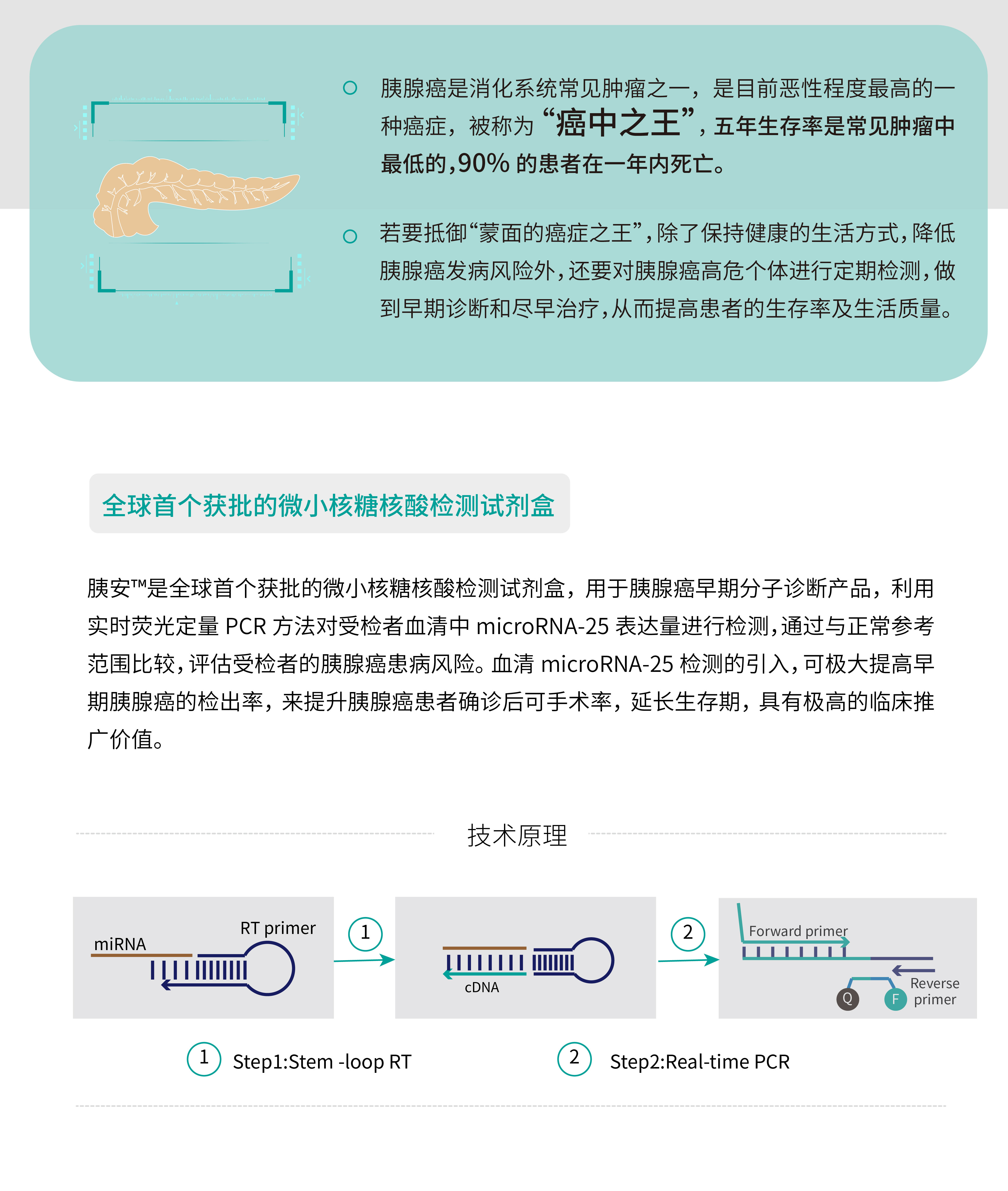 网页版2.jpg