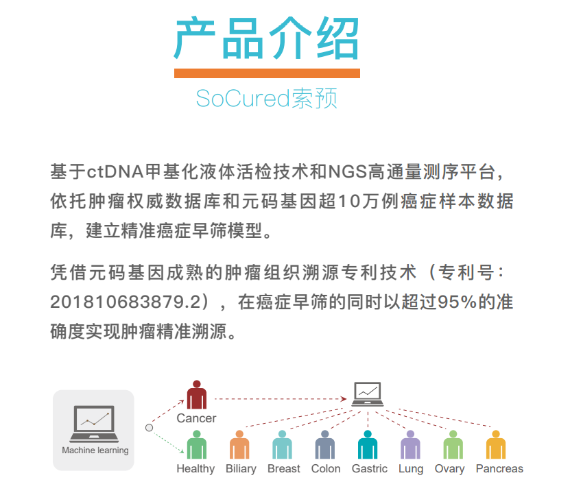为什么精准医疗能够根据个体特征定制治疗方案？